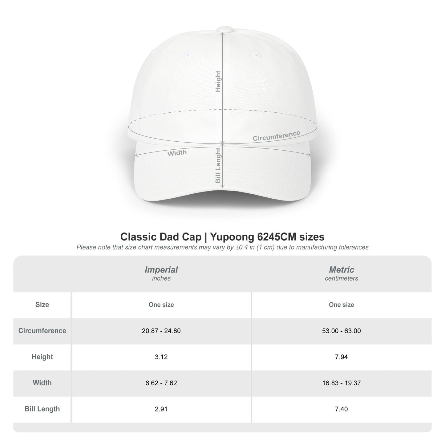 True Wesleyan Emboridered Classic Dad Cap