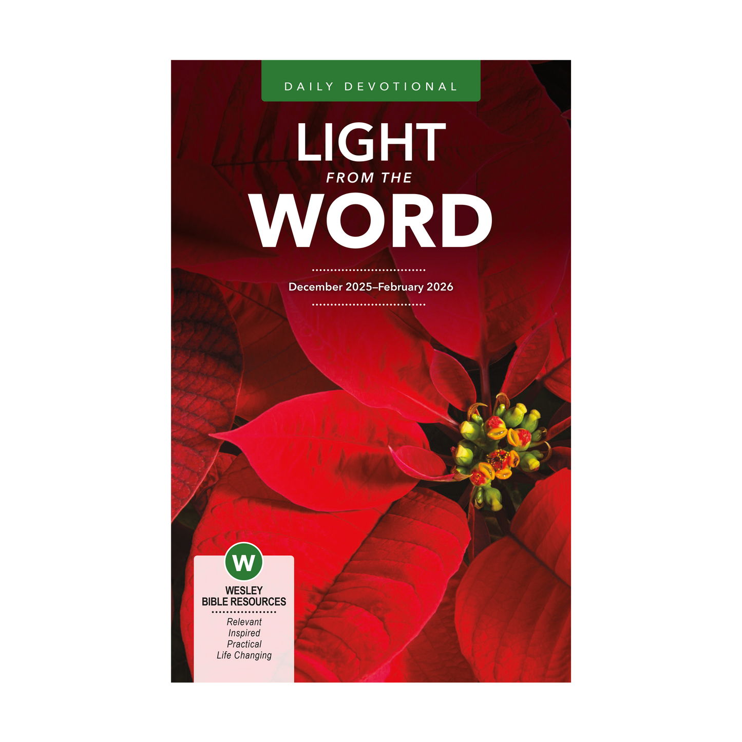 Light from the Word | Winter