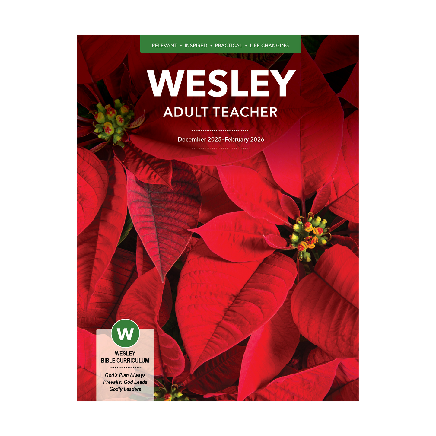 Wesley Bible Teacher | Winter