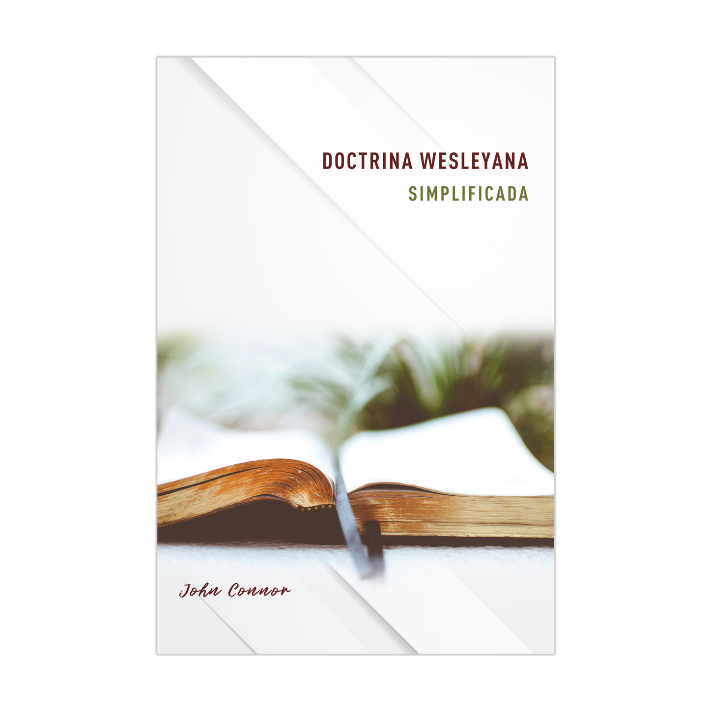 Doctrina Wesleyana simplificada