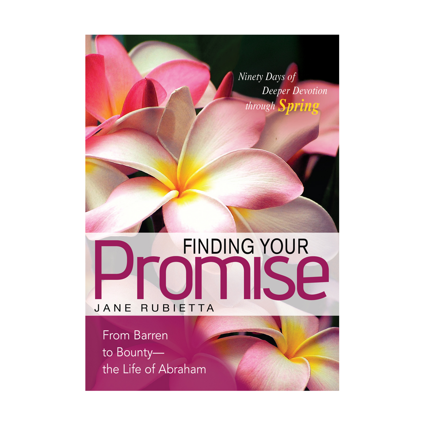 Finding Your Promise