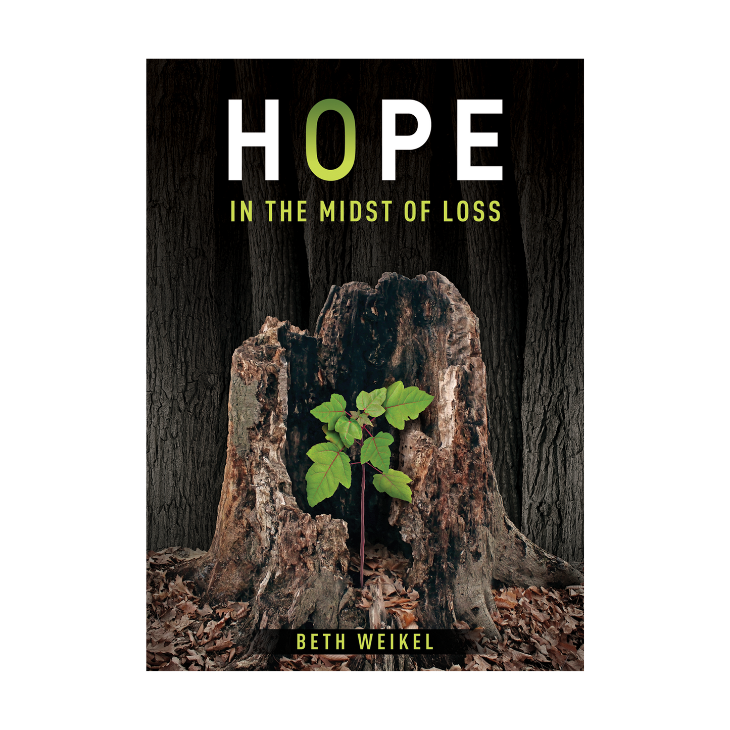 Hope in the Midst of Loss