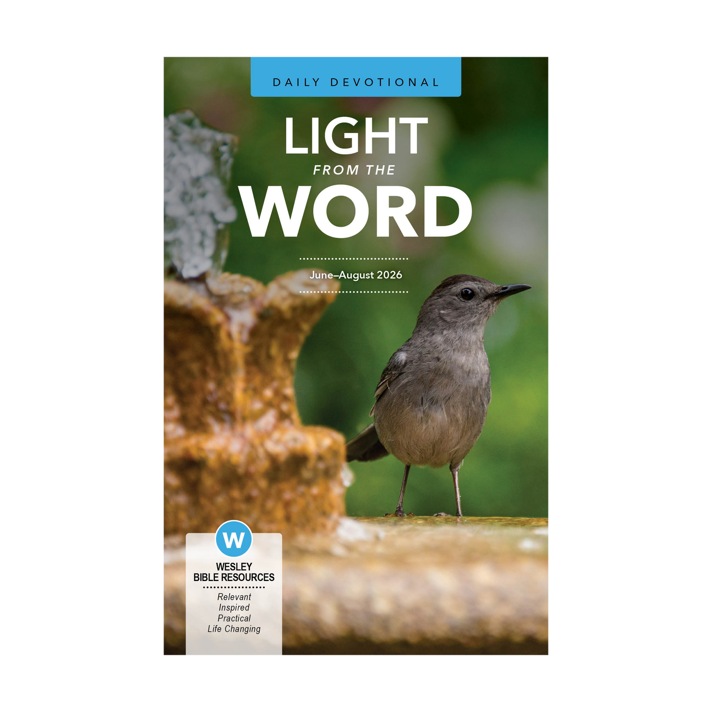 Light from the Word | Summer
