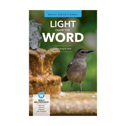 Light from the Word | Summer