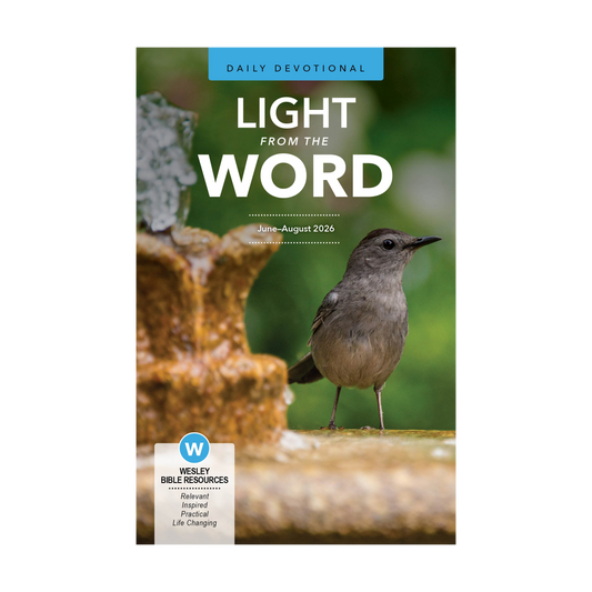 Light from the Word | Summer
