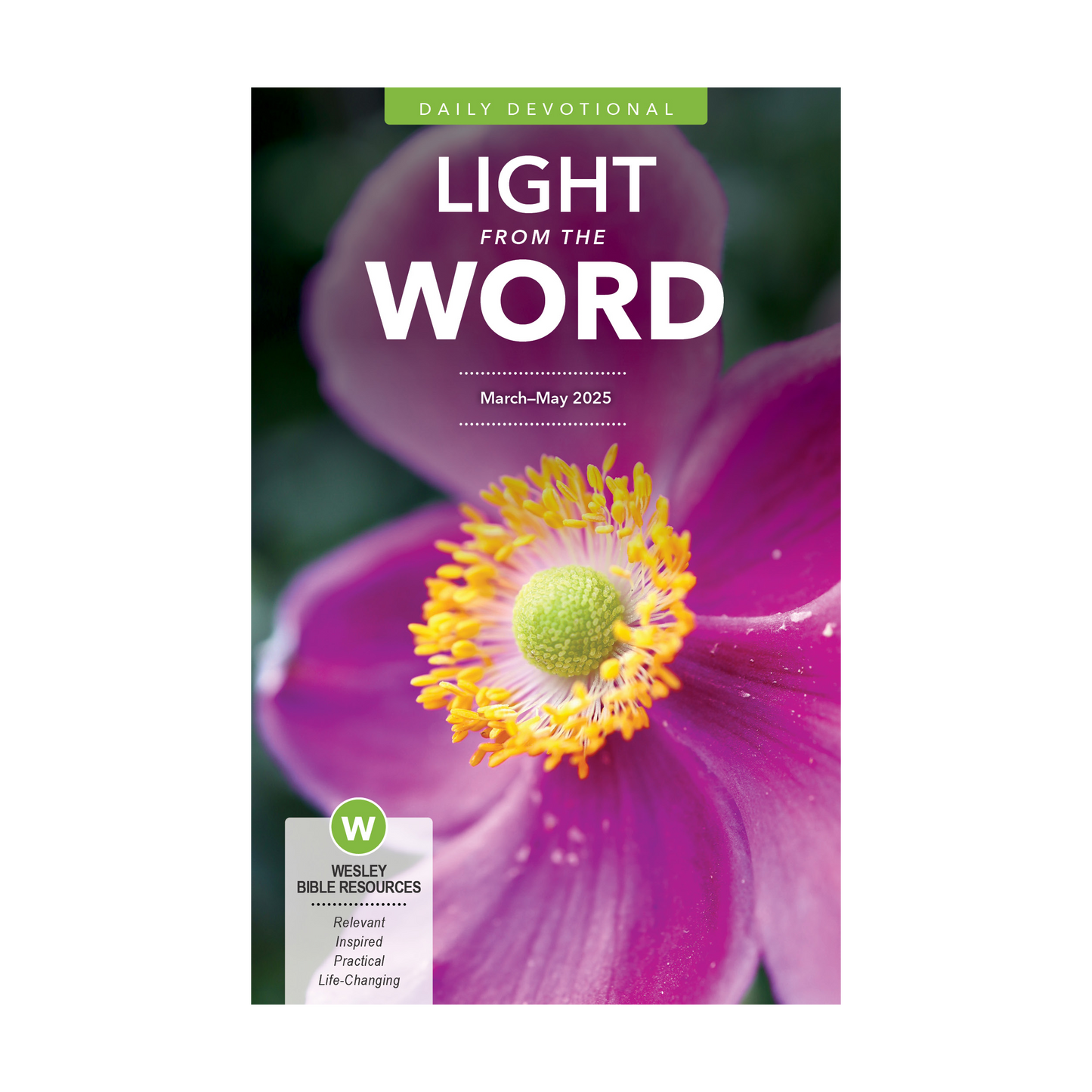 Light from the Word | Spring