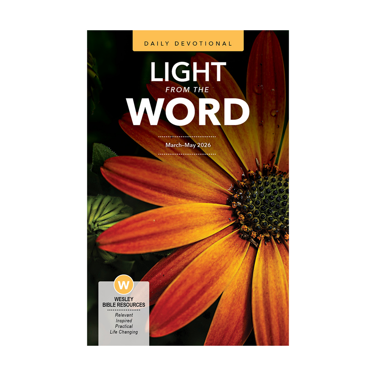 Light from the Word | Spring