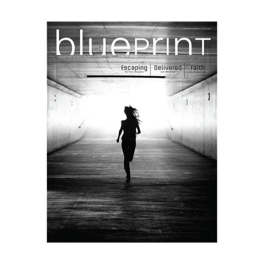 Wesley High School Blueprint Student Magazine | Fall