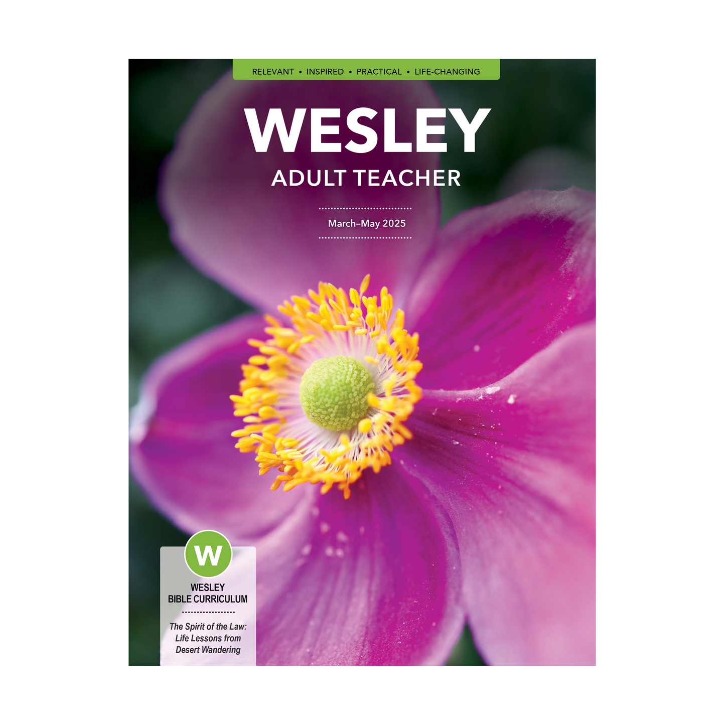 Wesley Bible Teacher | Spring