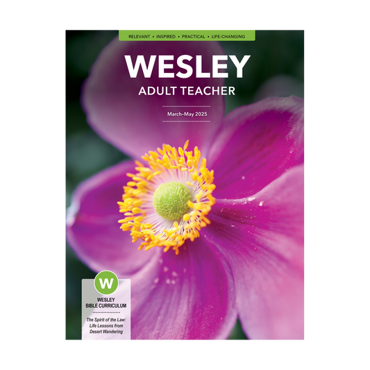 Wesley Bible Teacher | Spring