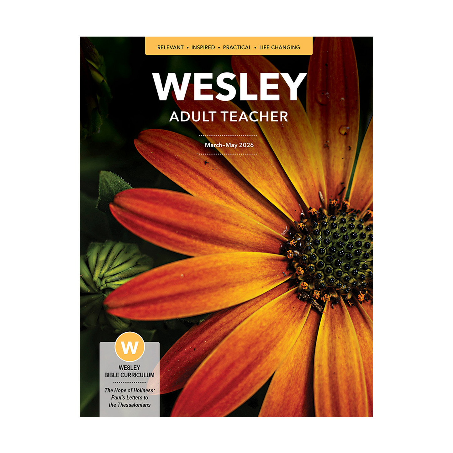 Wesley Bible Teacher | Spring