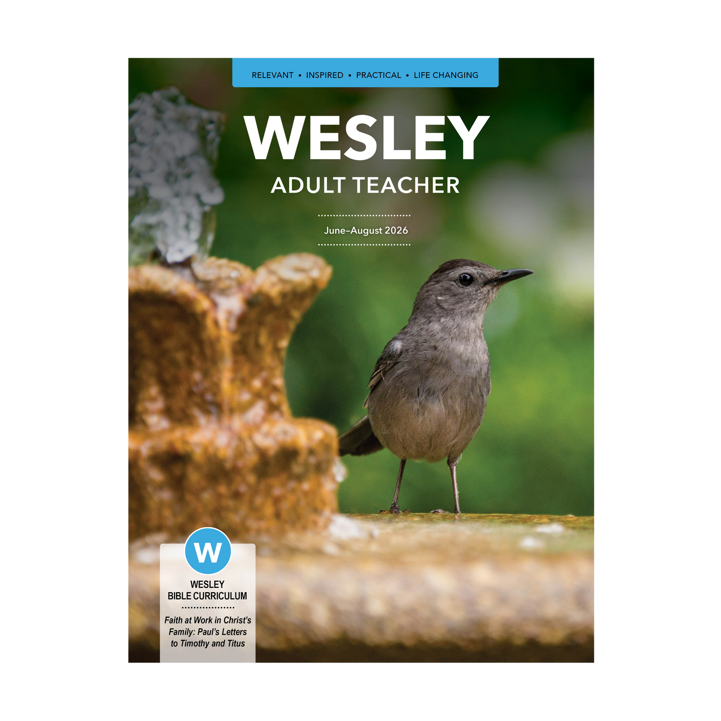 Wesley Bible Teacher | Summer