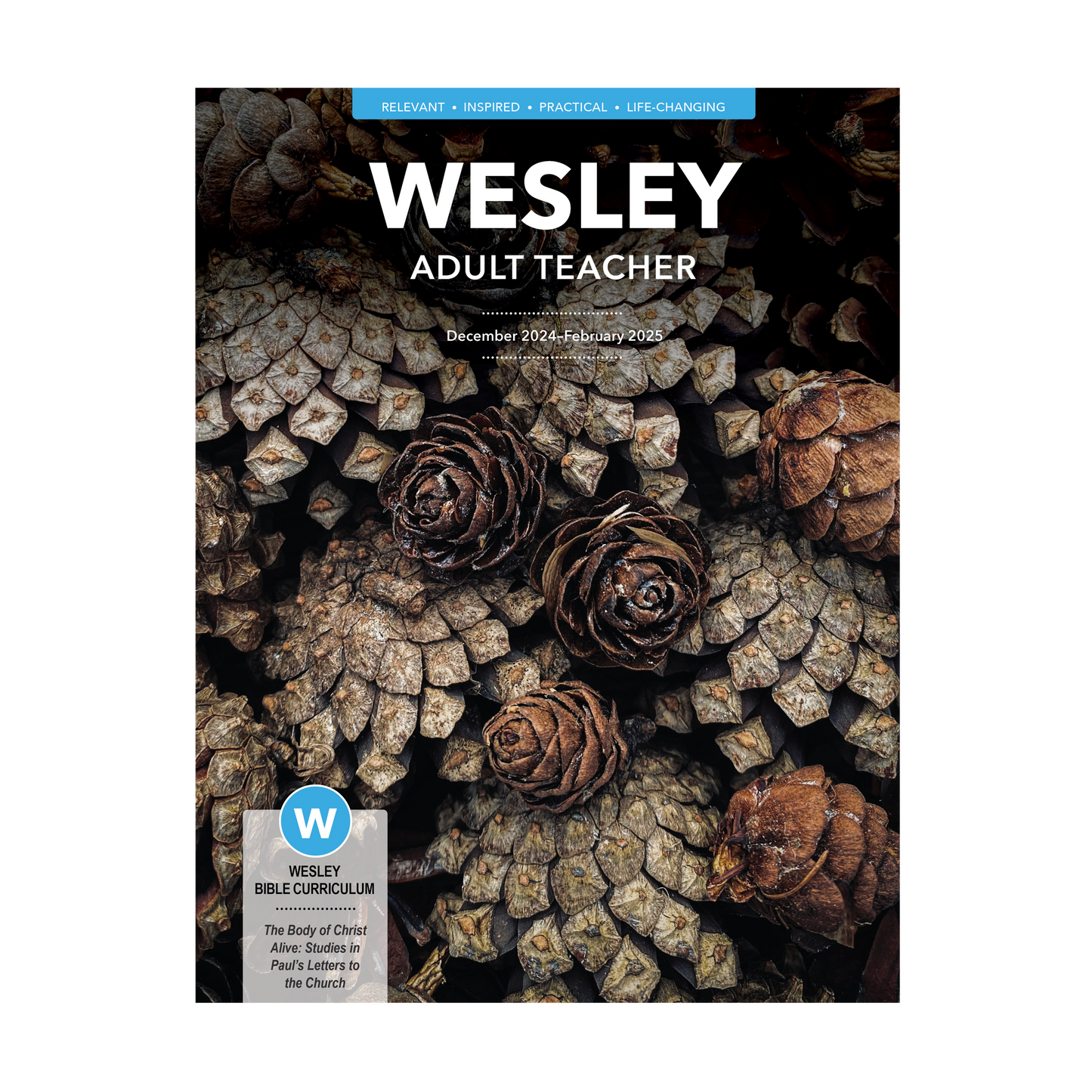 Wesley Bible Teacher | Winter